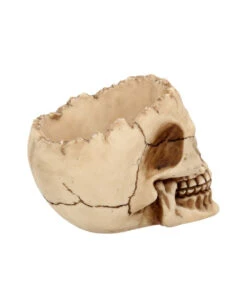 Realistische Totenschädel Schale Mit Offener Schädeldecke 11 Realistische Totenschädel Schale Mit Offener Schädeldecke -Halloween Serien Geschäft totenschaedel schale mit offener schaedeldecke realistic skull mug morbide gothic deko halloween deko totenschaedel 39289 6