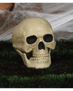Wetterfester Totenschädel Mit Beweglichem Kiefer 20cm -Halloween Serien Geschäft wetterfester totenkopf mit beweglichem kiefer weatherproof skull with moveable jaw halloween totenschaedel 53405 04
